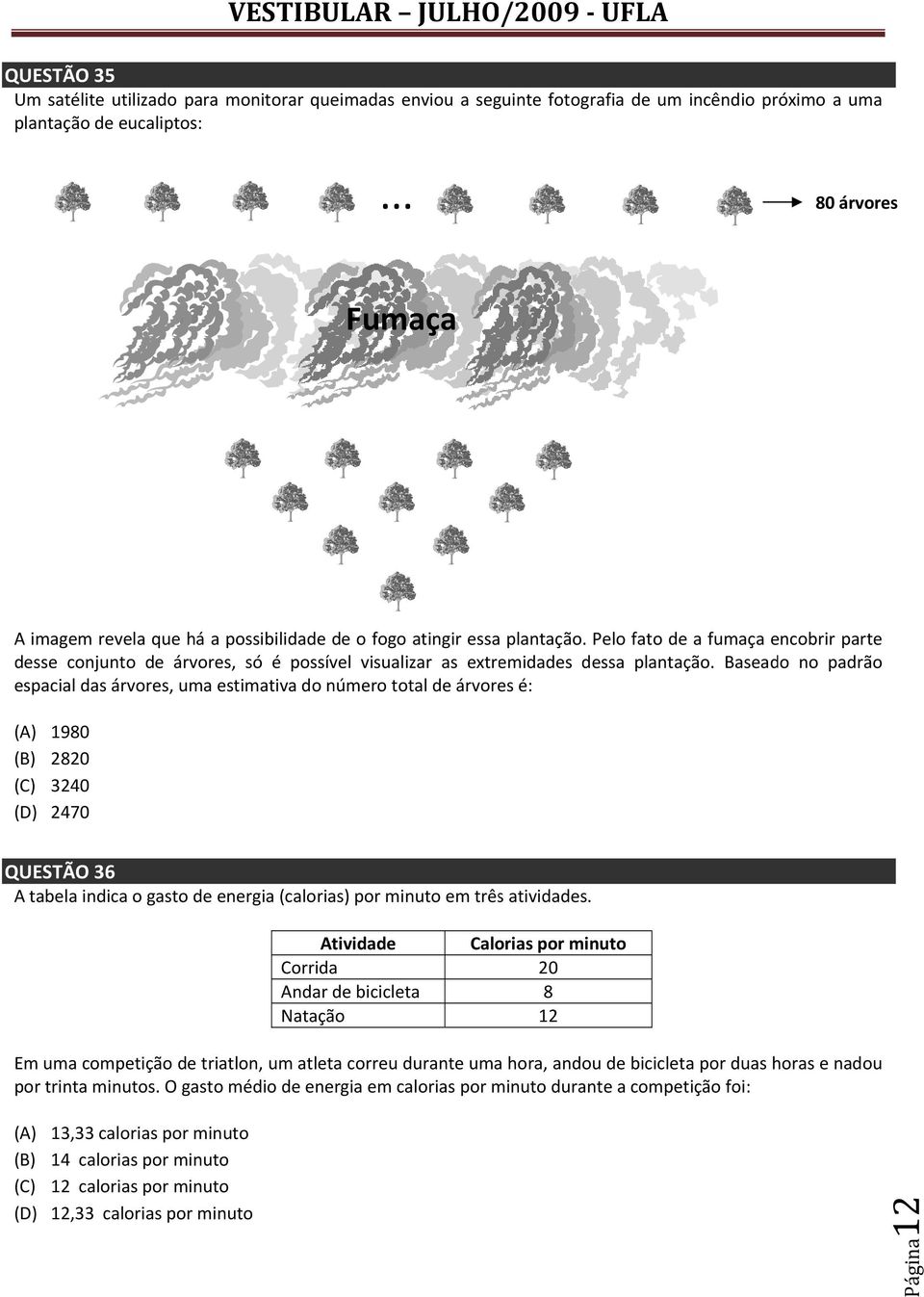 Pelo fato de a fumaça encobrir parte desse conjunto de árvores, só é possível visualizar as extremidades dessa plantação.