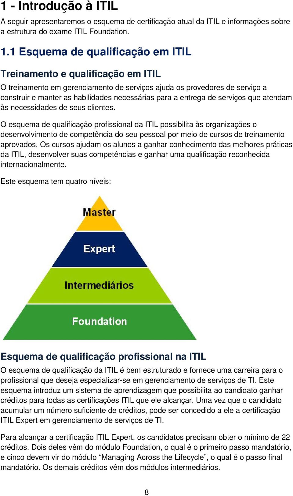 entrega de serviços que atendam às necessidades de seus clientes.