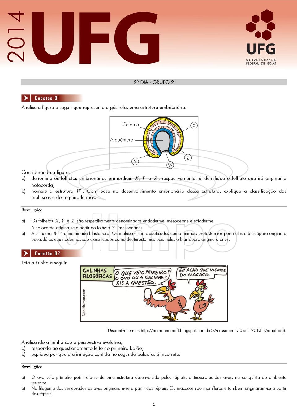 W. Com base no desenvolvimento embrionário dessa estrutura, explique a classificação dos moluscos e dos equinodermos.