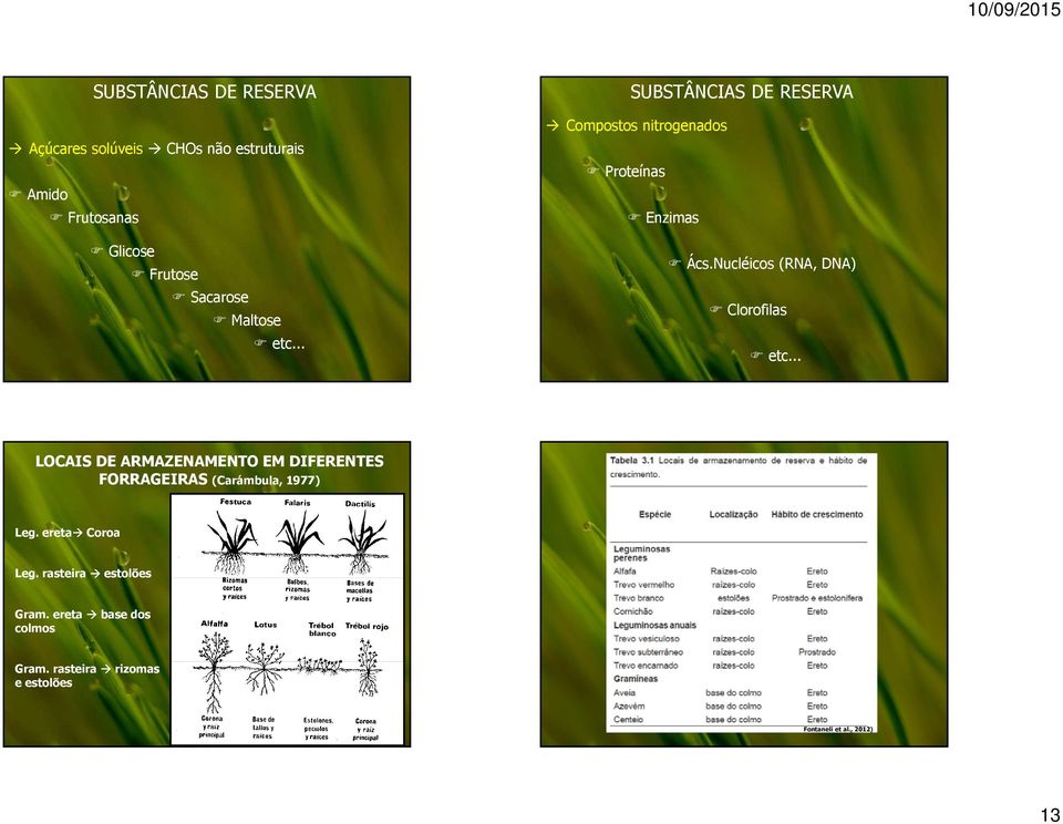 Nucléicos (RNA, DNA) Clorofilas etc.