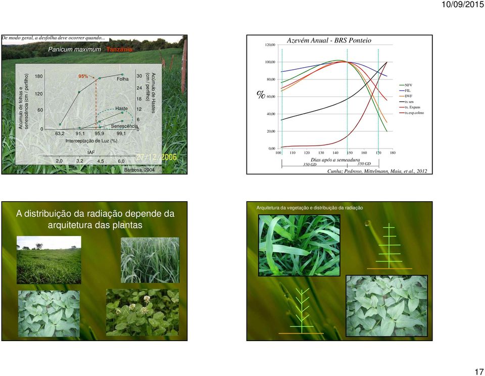 Interceptação de Luz (%) Folha Haste 30 24 18 12 6 Senescência 0 99,1 Acúmulo de Hastes (cm / perfilho) % 80,00 60,00 40,00 20,00 NFV FIL DVF tx sen tx.