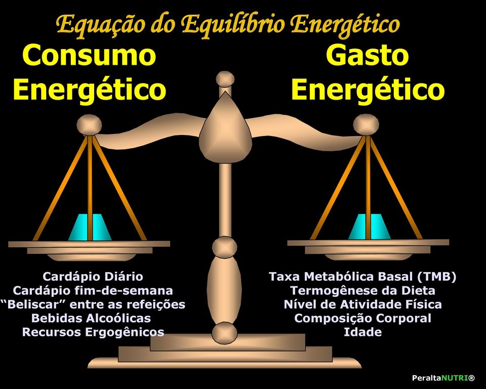 Bebidas Alcoólicas Recursos Ergogênicos Taxa Metabólica Basal (TMB)