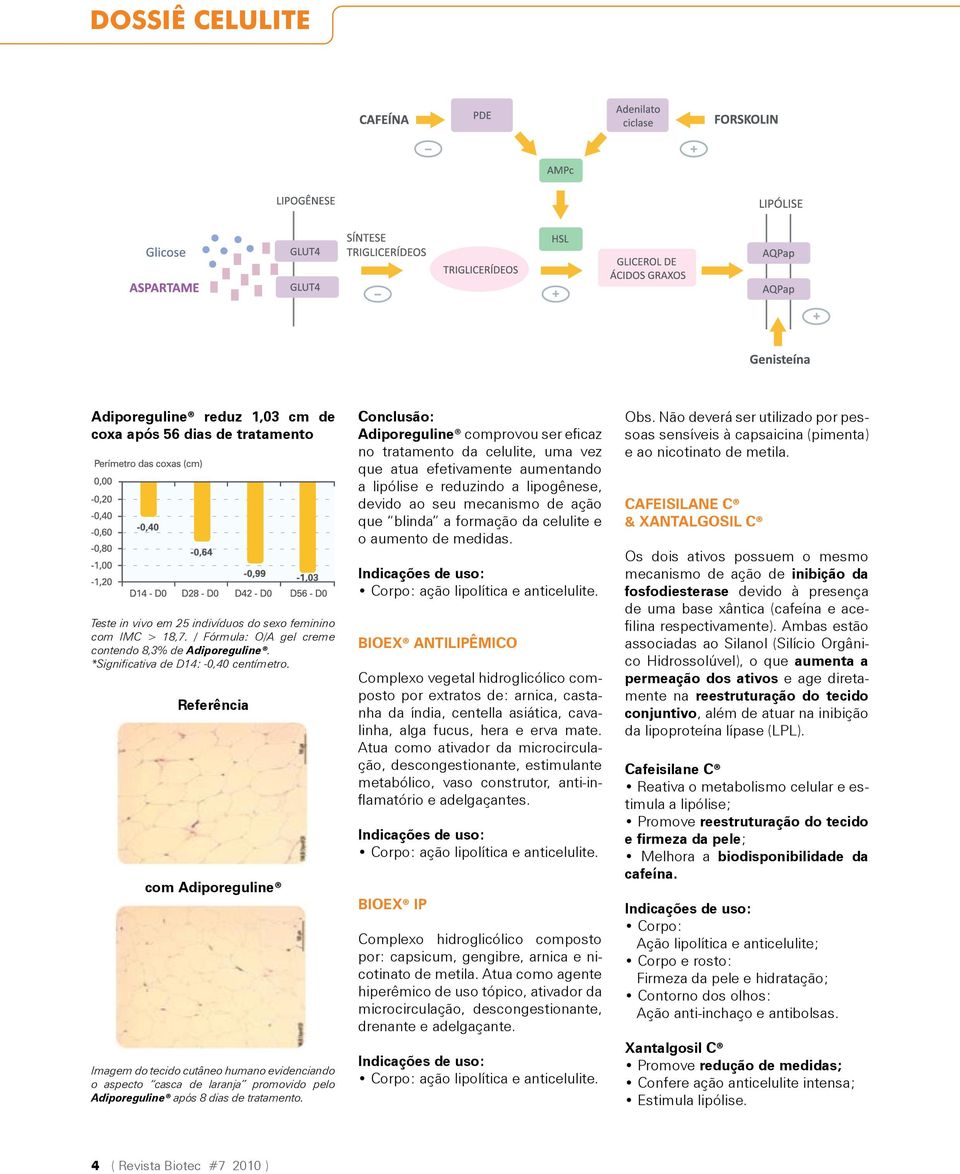 Conclusão: Adiporeguline comprovou ser eficaz no tratamento da celulite, uma vez que atua efetivamente aumentando a lipólise e reduzindo a lipogênese, devido ao seu mecanismo de ação que blinda a