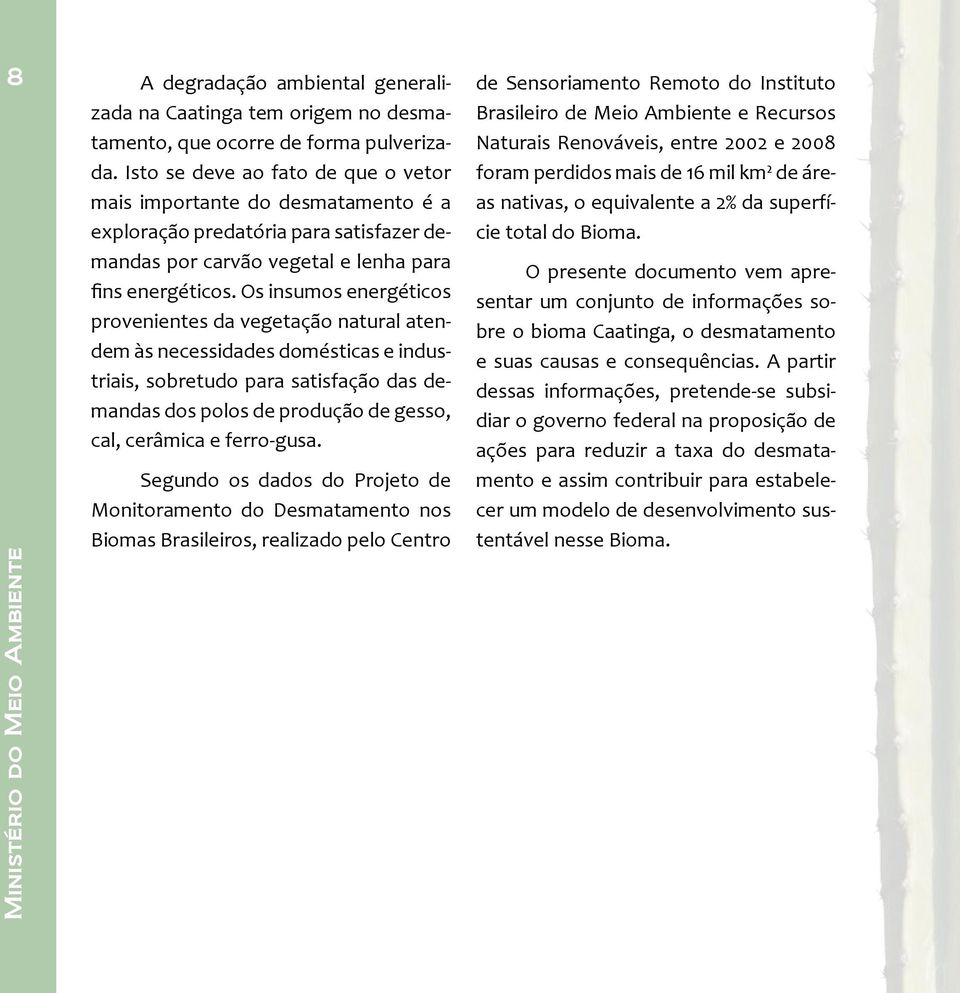 Os insumos energéticos provenientes da vegetação natural atendem às necessidades domésticas e industriais, sobretudo para satisfação das demandas dos polos de produção de gesso, cal, cerâmica e