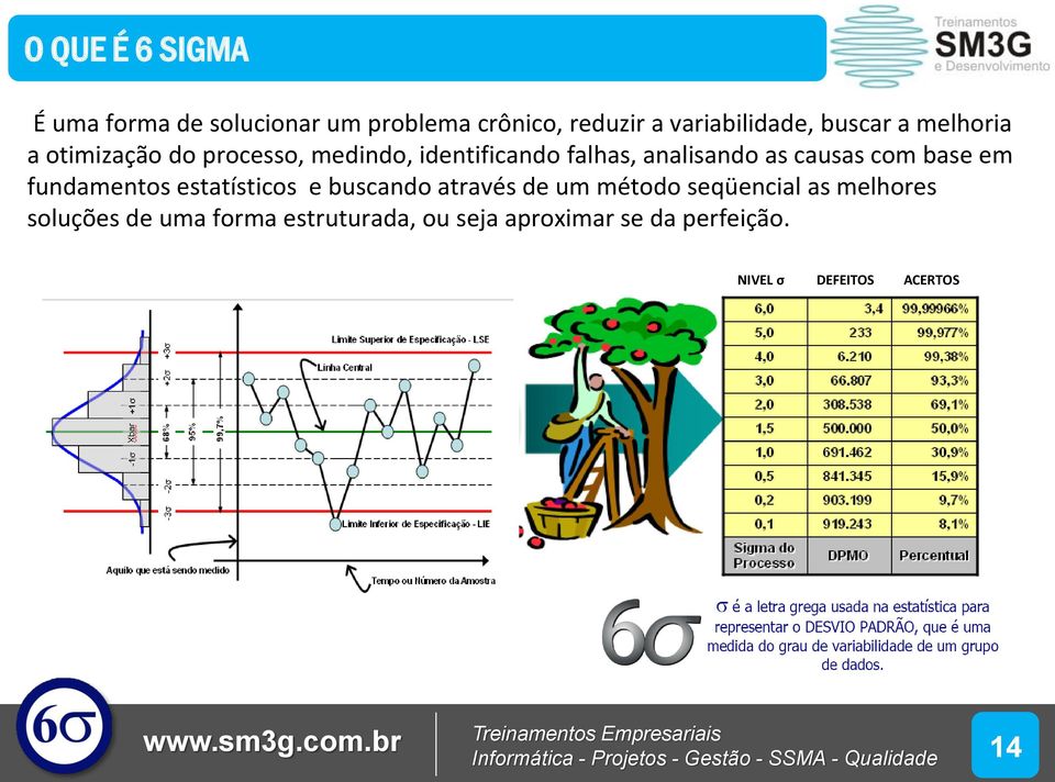 causas com base em fundamentos estatísticos e buscando através de um método seqüencial as