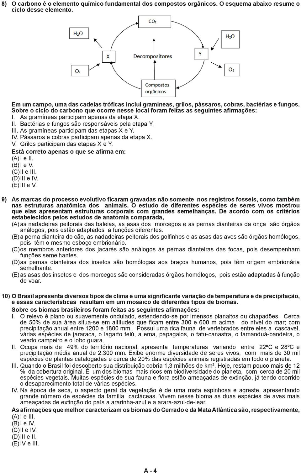 As gramíneas participam apenas da etapa X. II. Bactérias e fungos são responsáveis pela etapa Y. III. As gramíneas participam das etapas X e Y. IV. Pássaros e cobras participam apenas da etapa X. V.