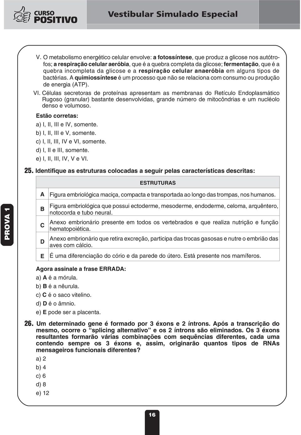 Células secretoras de proteínas apresentam as membranas do Retículo Endoplasmático Rugoso (granular) bastante desenvolvidas, grande número de mitocôndrias e um nucléolo denso e volumoso.