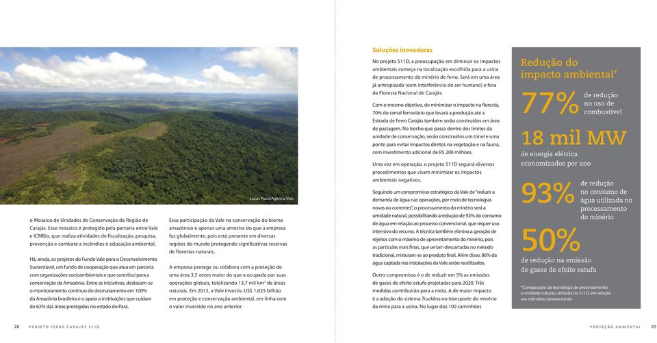 Há, ainda, os projetos do Fundo Vale para o Desenvolvimento Sustentável, um fundo de cooperação que atua em parceria com organizações socioambientais e que contribui para a conservação da Amazônia.