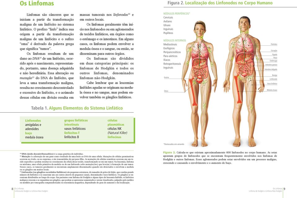 Os linfomas resultam de um dano ao DNA 14 de um linfócito, ocorrido após o nascimento, representando, portanto, uma doença adquirida e não hereditária.