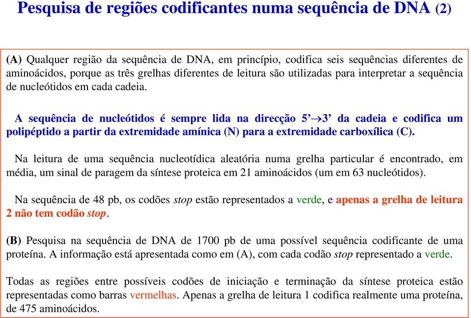 A sequência de nucleótidos é sempre lida na direcção 5 3 da cadeia e codifica um polipéptido a partir da extremidade amínica (N) para a extremidade carboxílica (C).