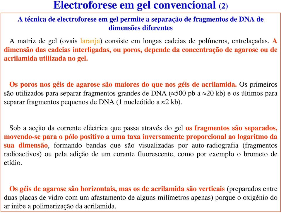 Os poros nos géis de agarose são maiores do que nos géis de acrilamida.