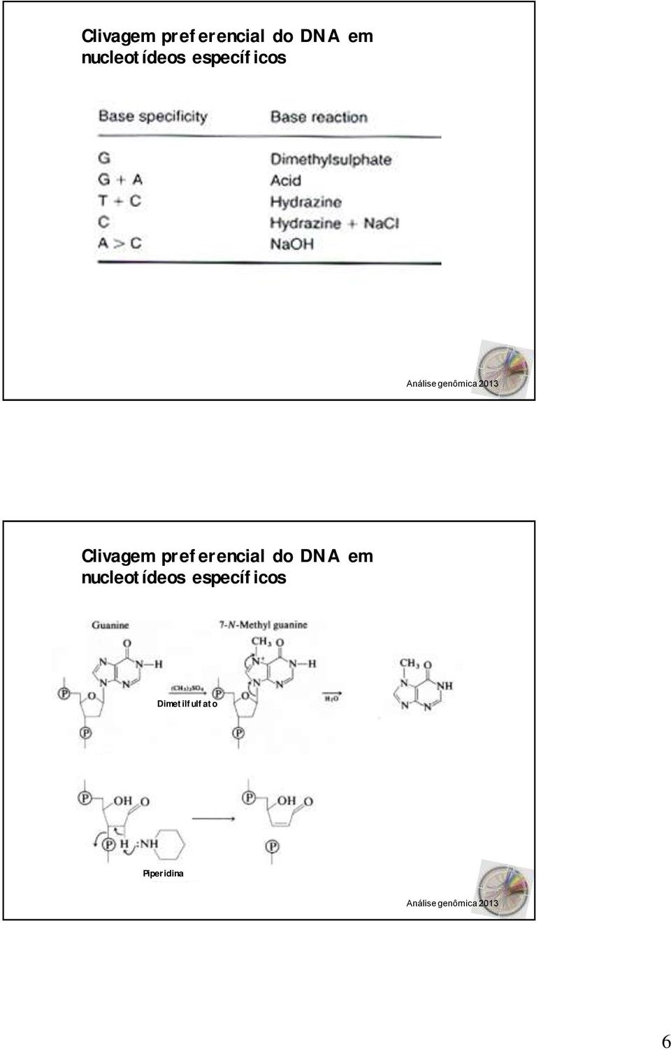 Dimetilfulfato Piperidina 6