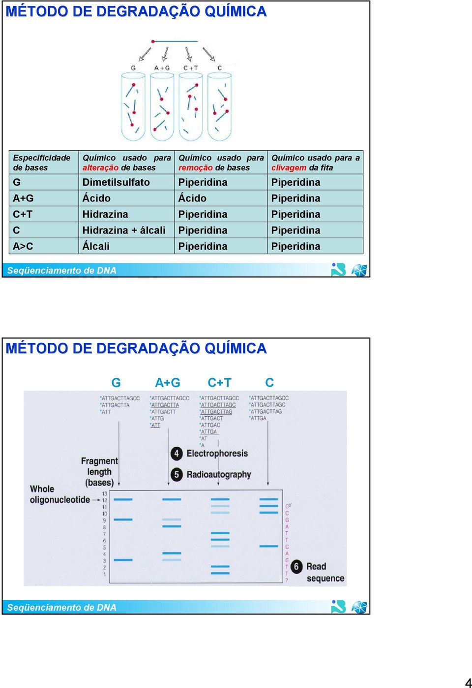 bases Químico usado para a clivagem da fita A+G Ácido Ácido C+T