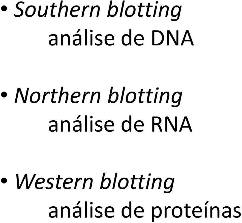 análise de RNA Western