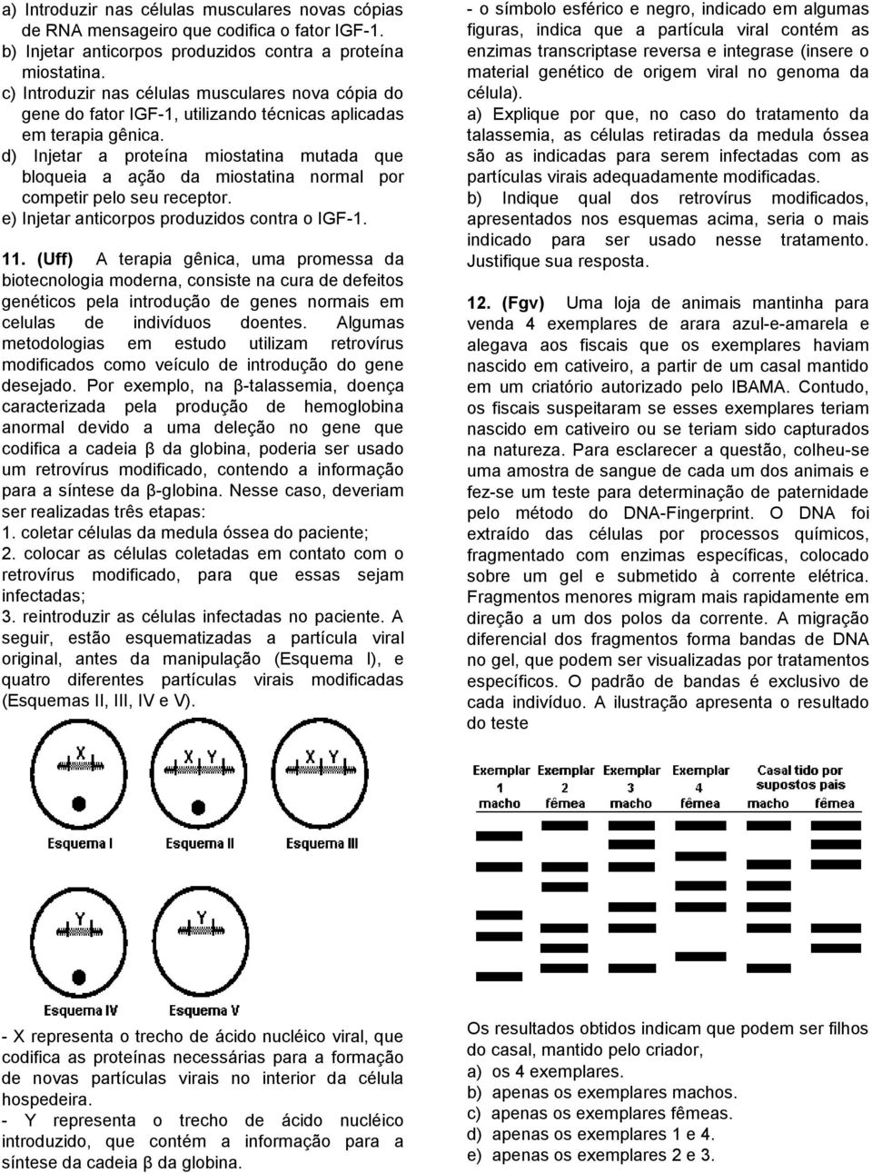 d) Injetar a proteína miostatina mutada que bloqueia a ação da miostatina normal por competir pelo seu receptor. e) Injetar anticorpos produzidos contra o IGF-1. 11.