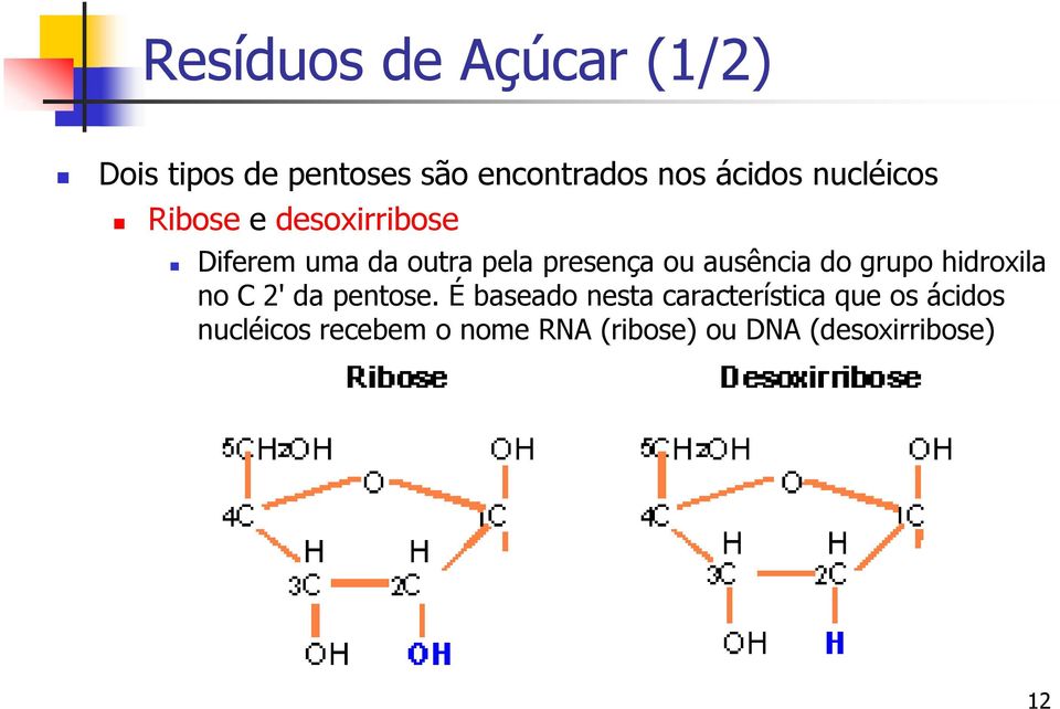 ausência do grupo hidroxila no C 2' da pentose.