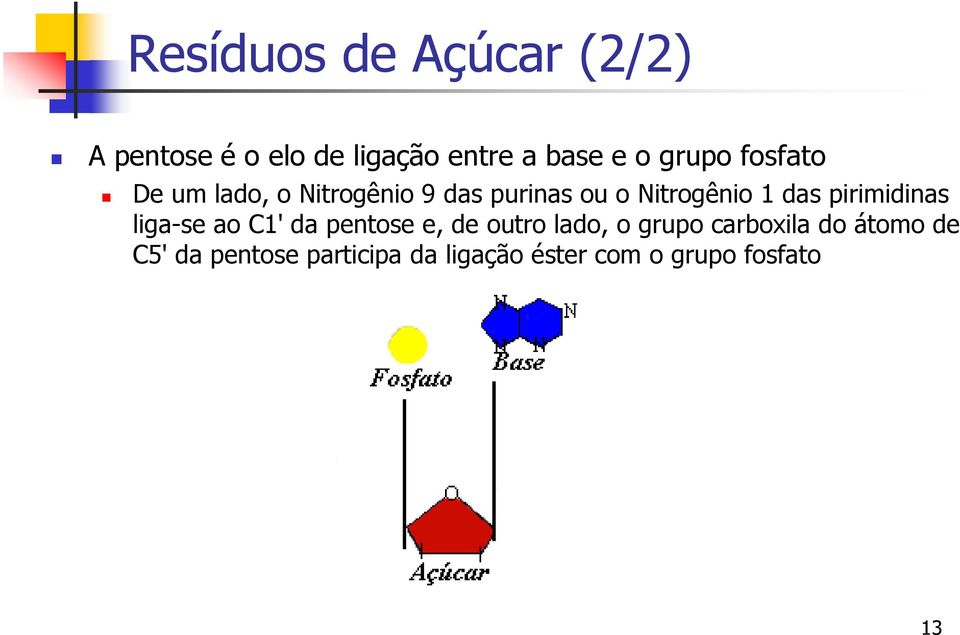 das pirimidinas liga-se ao C1' da pentose e, de outro lado, o grupo