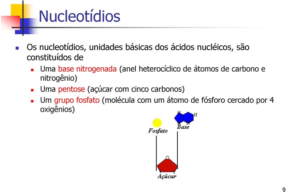 de carbono e nitrogênio) Uma pentose (açúcar com cinco carbonos) Um