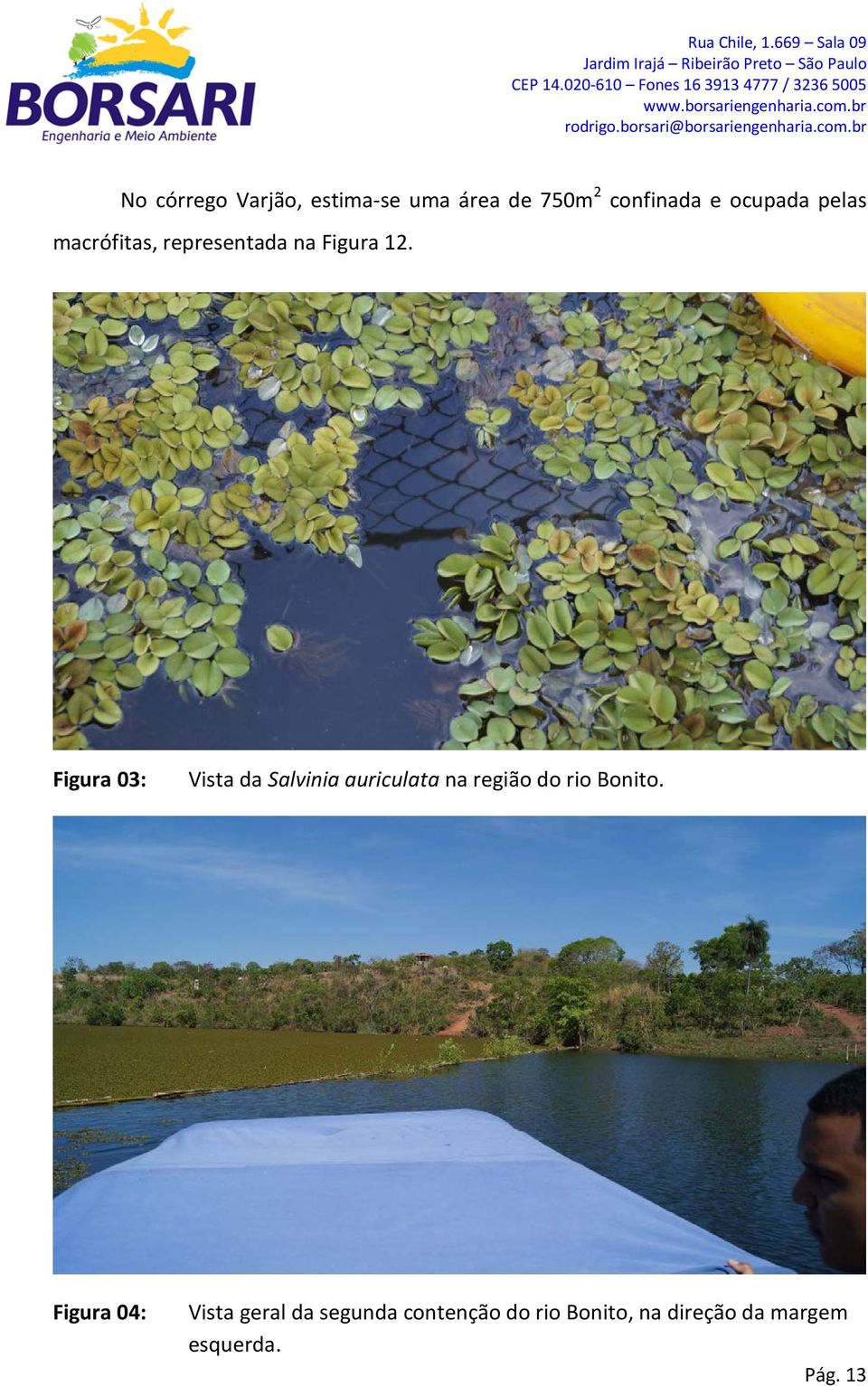 Figura 03: Vista da Salvinia auriculata na região do rio Bonito.