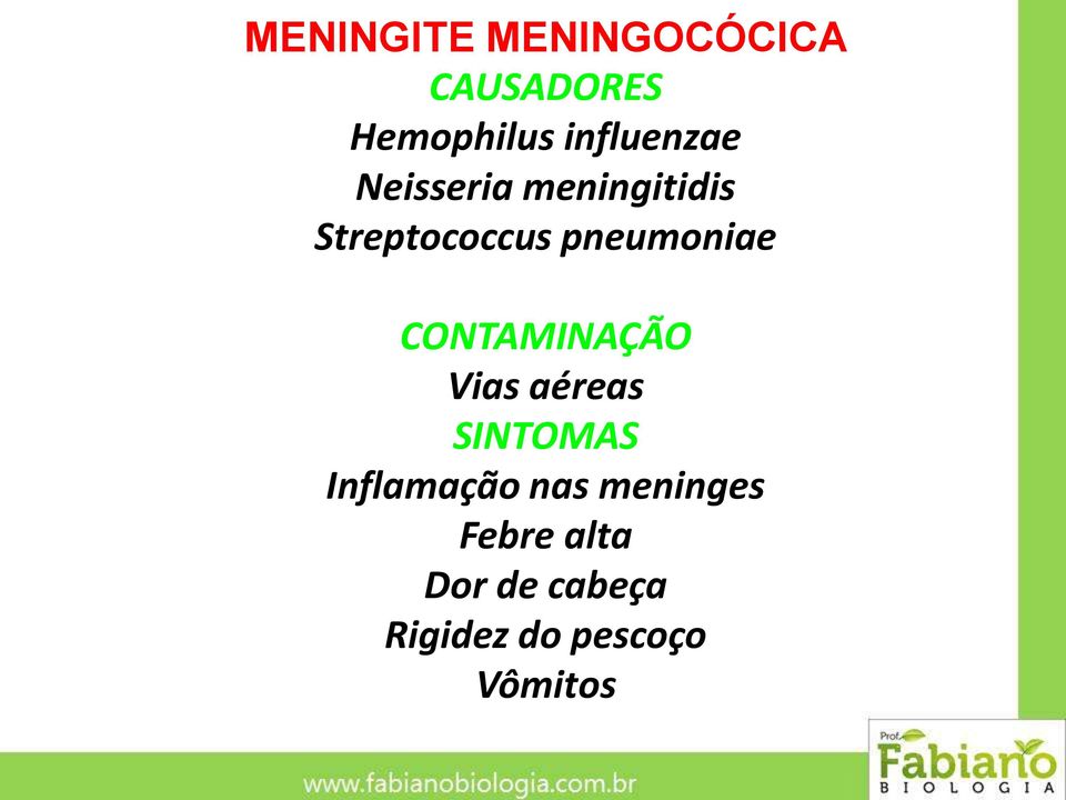 pneumoniae CONTAMINAÇÃO Vias aéreas SINTOMAS