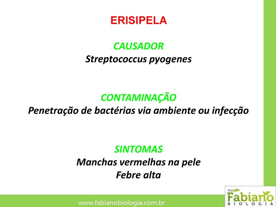 bactérias via ambiente ou infecção