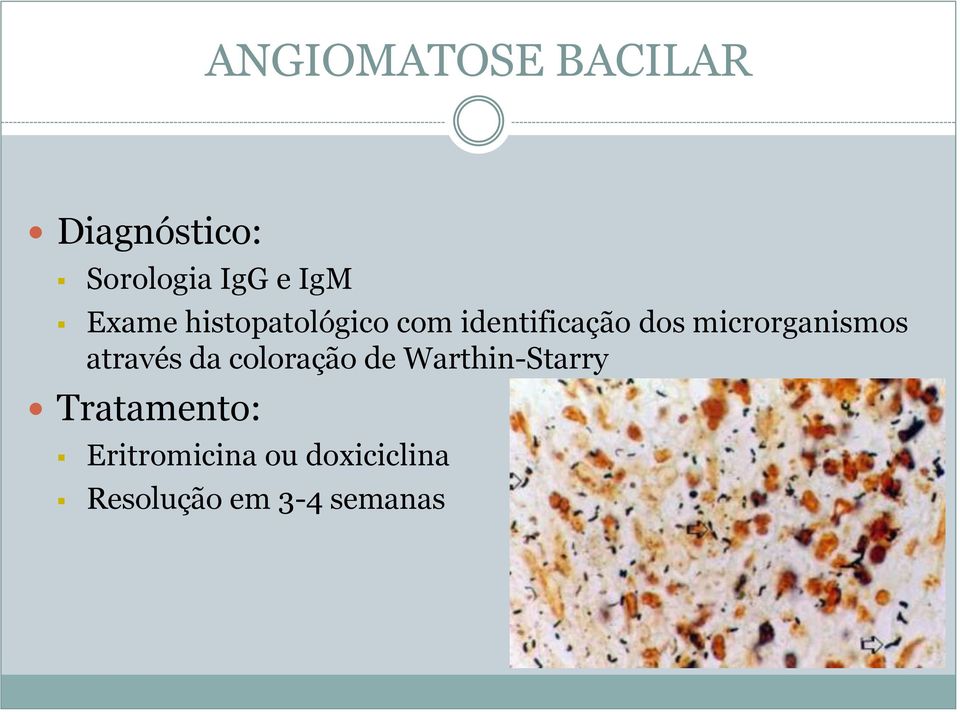 microrganismos através da coloração de Warthin-Starry