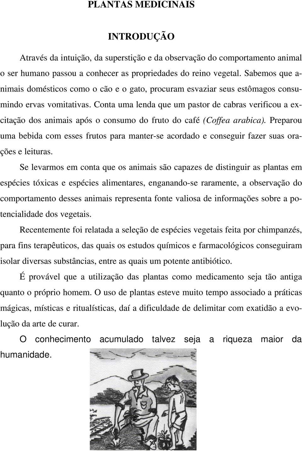 Conta uma lenda que um pastor de cabras verificou a excitação dos animais após o consumo do fruto do café (Coffea arabica).