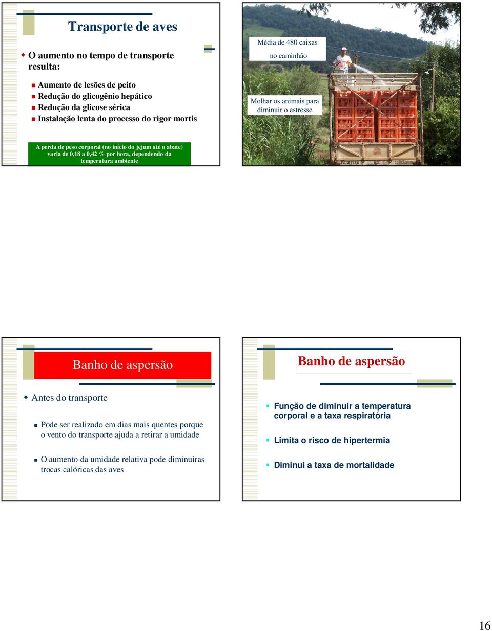 da temperatura ambiente Banho de aspersão Banho de aspersão Antes do transporte Pode ser realizado em dias mais quentes porque o vento do transporte ajuda a retirar a umidade O aumento