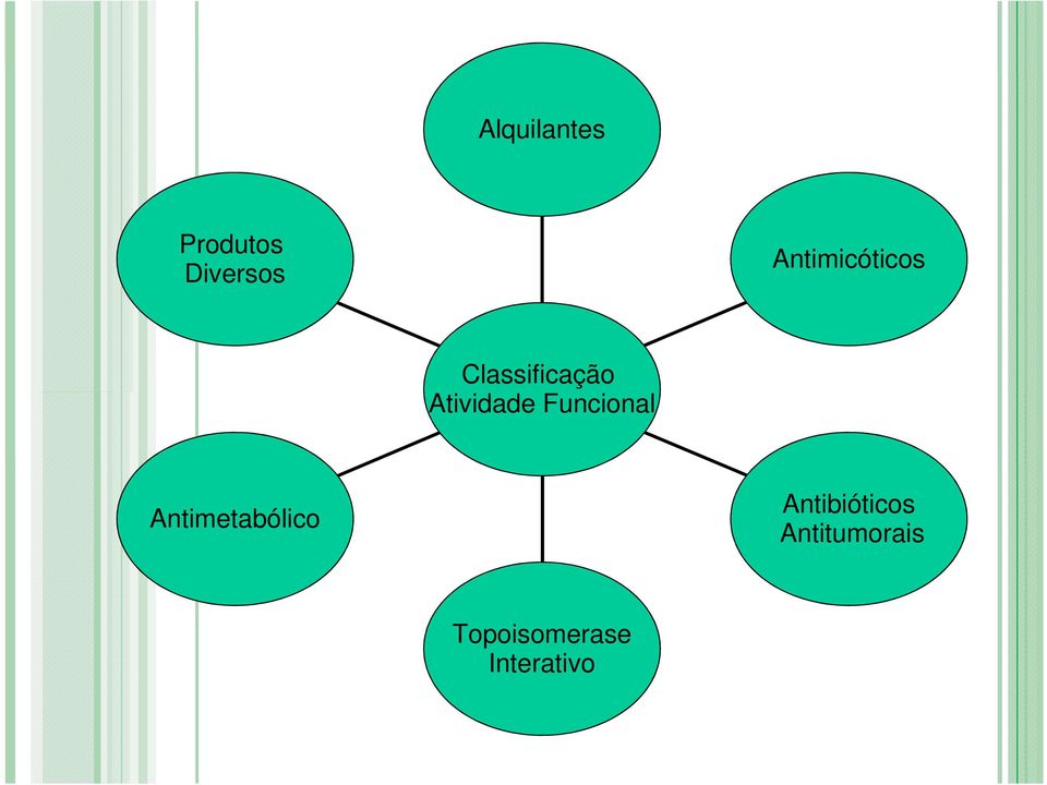 Atividade Funcional Antimetabólico