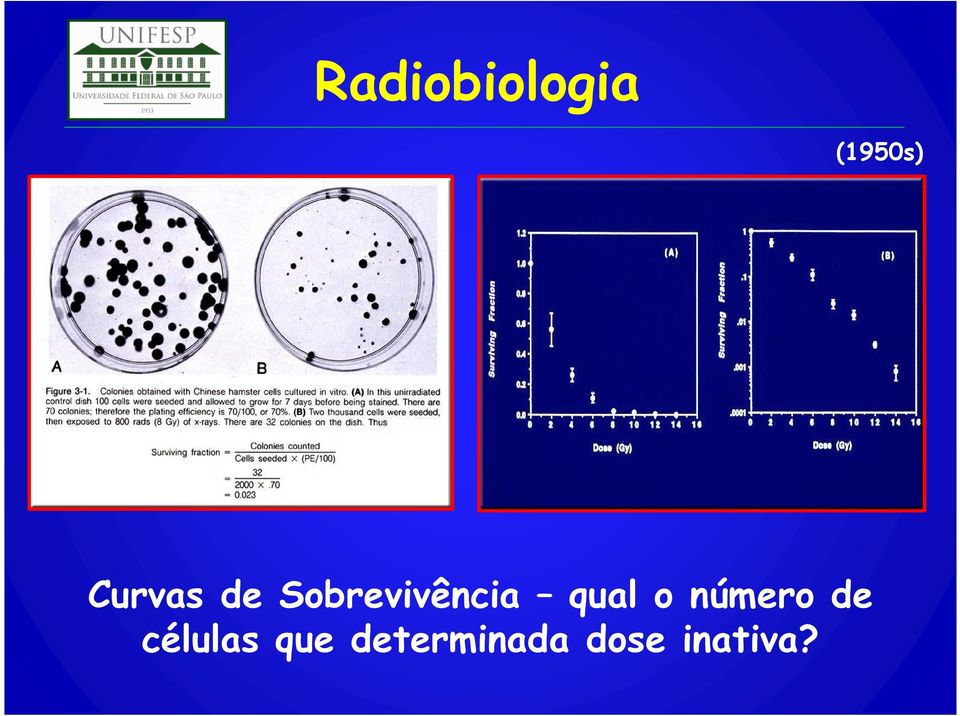 qual o número de células