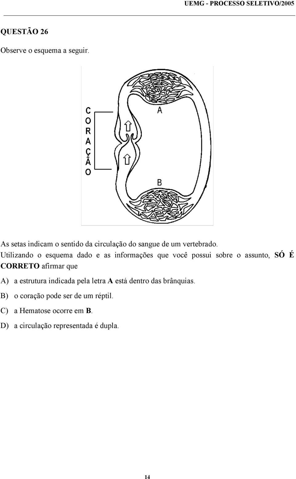 Utilizando o esquema dado e as informações que você possui sobre o assunto, SÓ É CORRETO