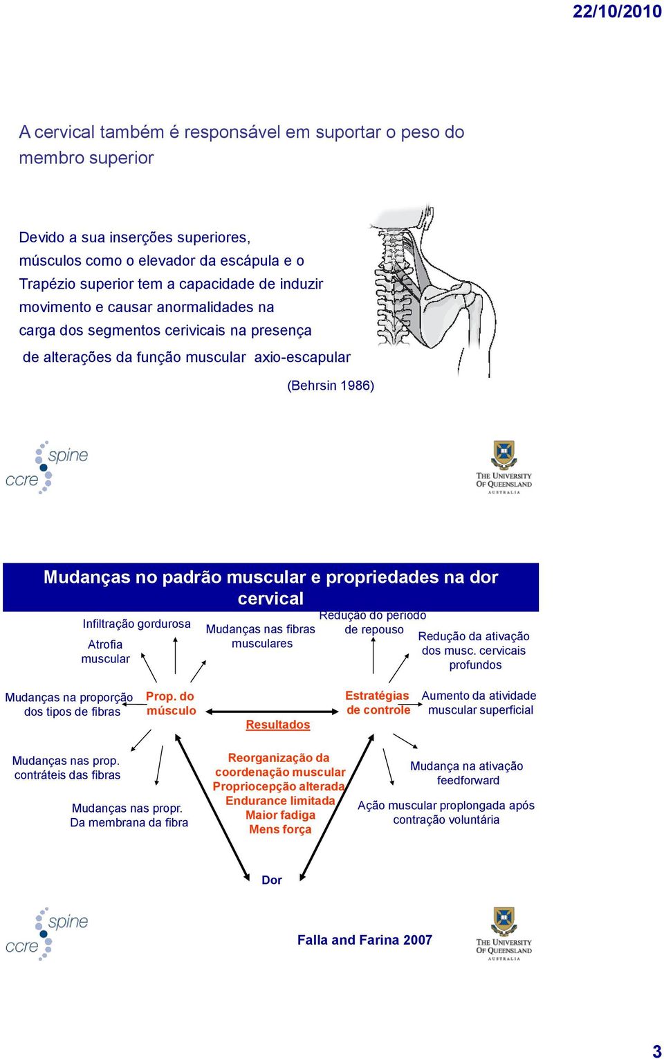 cervical Infiltração gordurosa Atrofia muscular Mudanças nas fibras musculares Redução do período de repouso Redução da ativação dos musc.