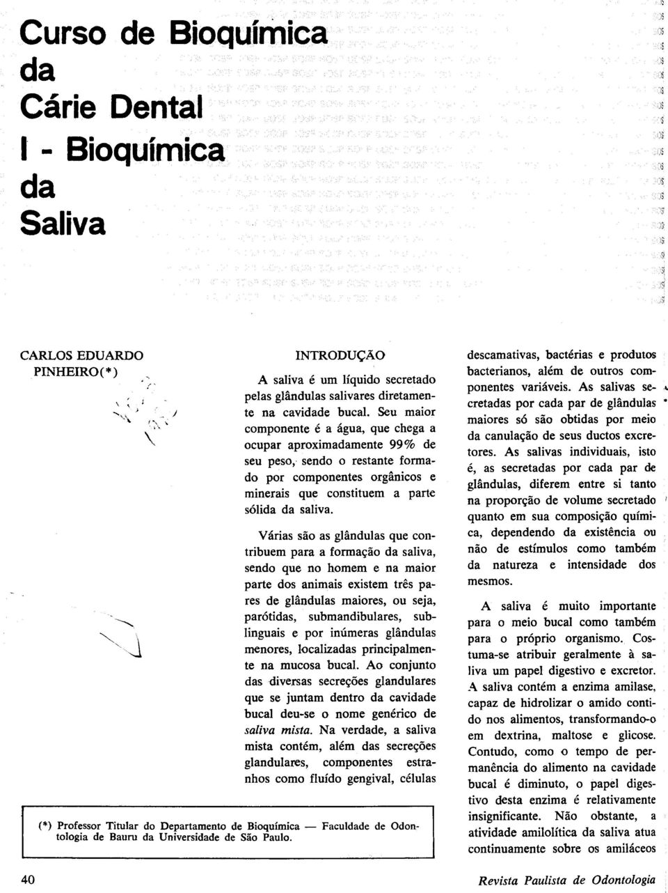 Várias são as glândulas que contribuem para a formação da saliva, sendo que no homem e na maior parte dos animais existem três pares de glândulas maiores, ou seja, parótidas, submandibulares,