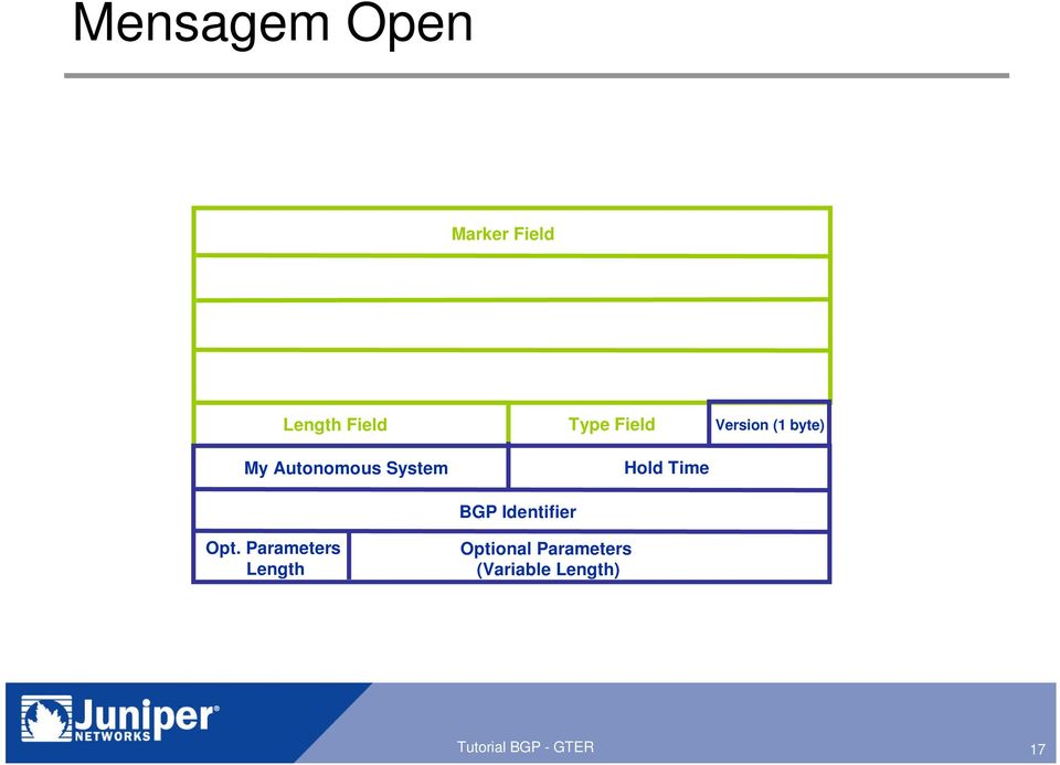 Time BGP Identifier Opt.