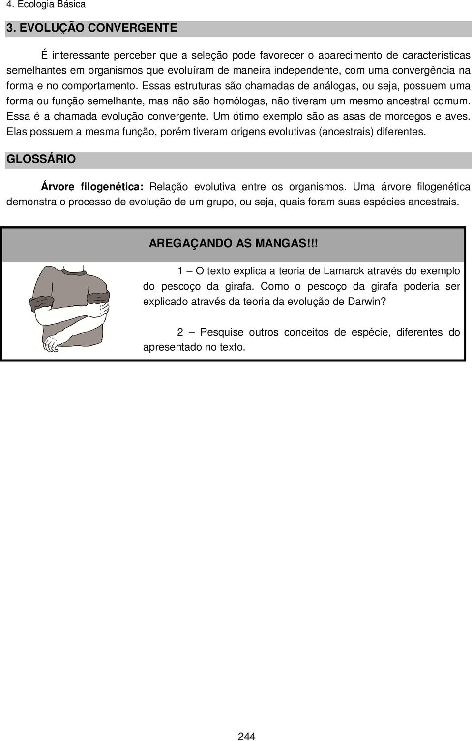 Essa é a chamada evolução convergente. Um ótimo exemplo são as asas de morcegos e aves. Elas possuem a mesma função, porém tiveram origens evolutivas (ancestrais) diferentes.