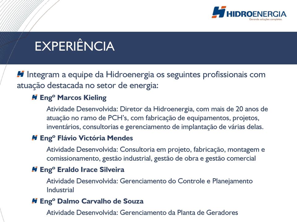 Engº Flávio Victória Mendes Atividade Desenvolvida: Consultoria em projeto, fabricação, montagem e comissionamento, gestão industrial, gestão de obra e gestão comercial Engº