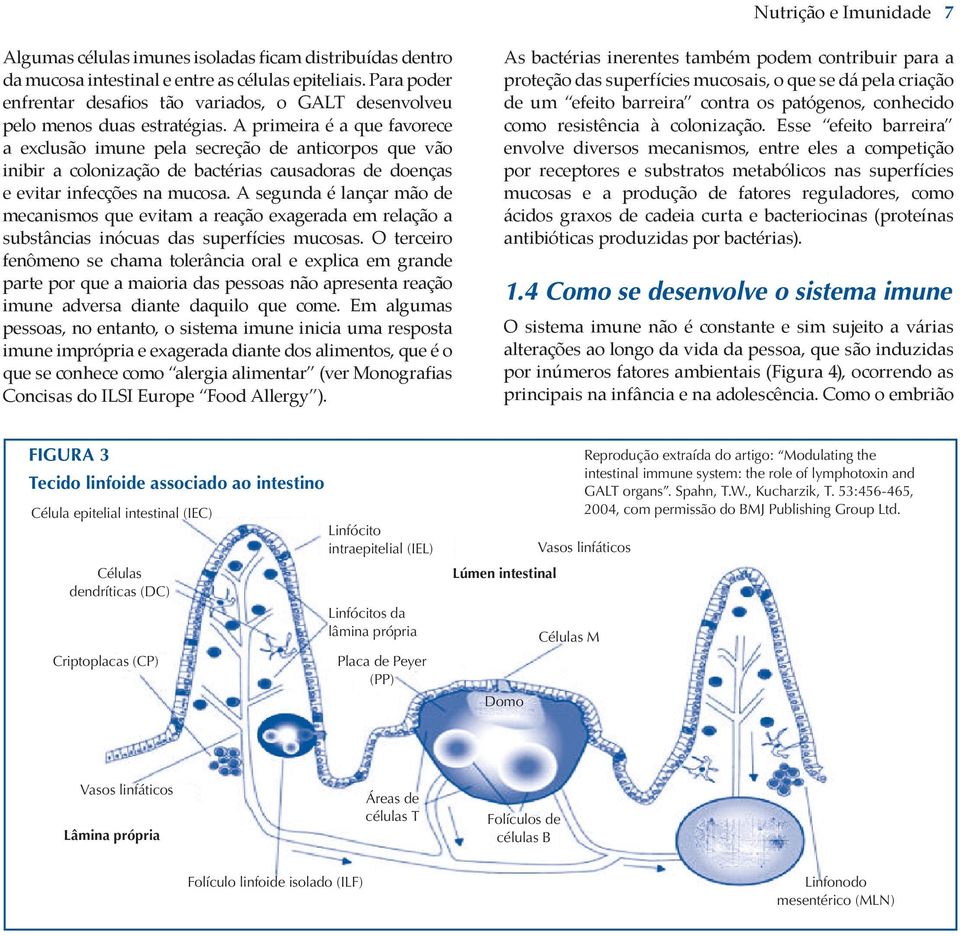 A primeira é a que favorece a exclusão imune pela secreção de anticorpos que vão inibir a colonização de bactérias causadoras de doenças e evitar infecções na mucosa.