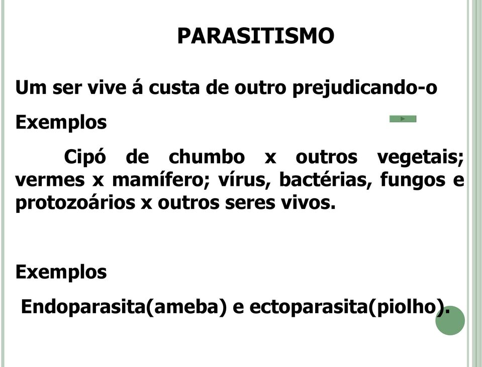 mamífero; vírus, bactérias, fungos e protozoários x