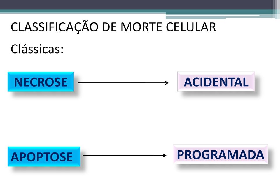 Clássicas: NECROSE