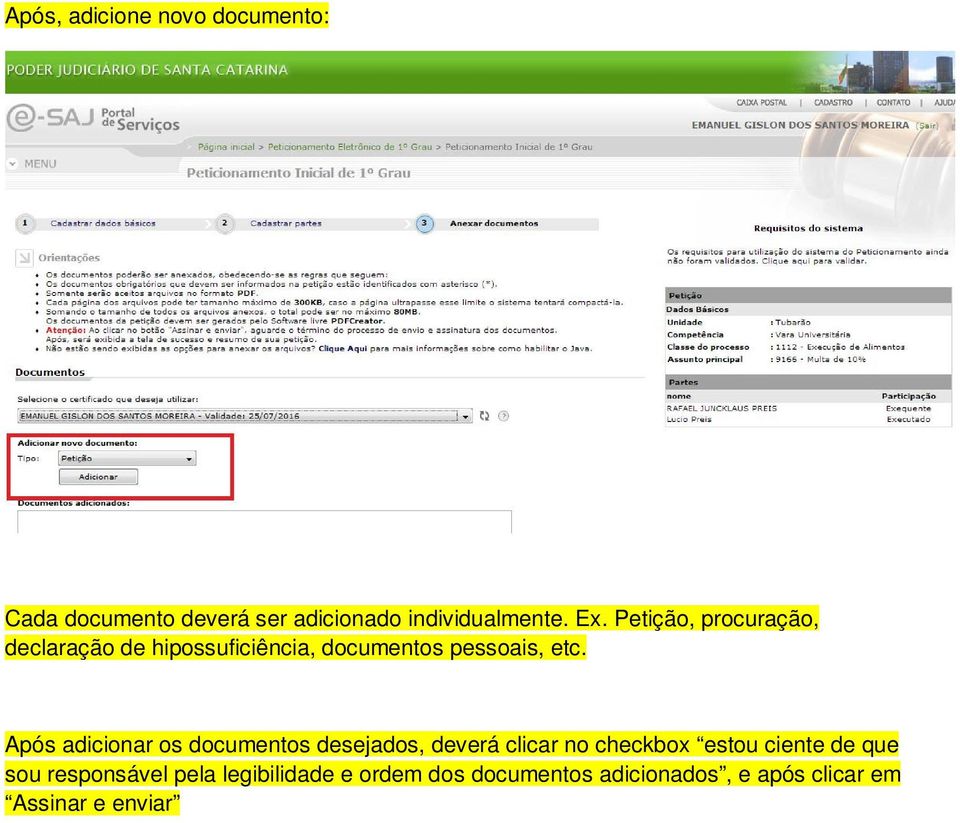 Após adicionar os documentos desejados, deverá clicar no checkbox estou ciente de que sou