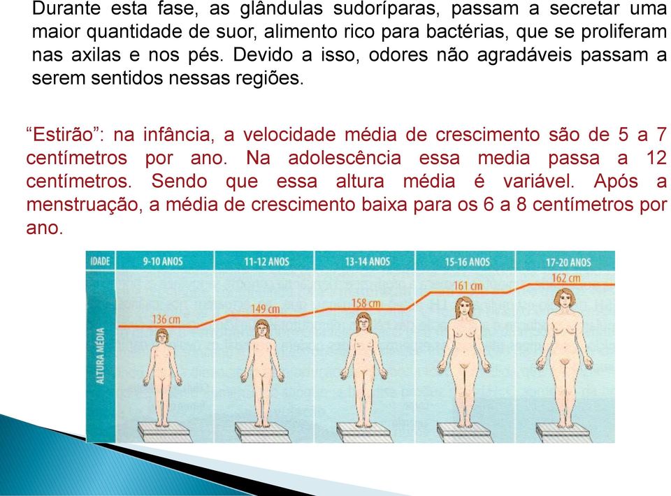 Estirão : na infância, a velocidade média de crescimento são de 5 a 7 centímetros por ano.