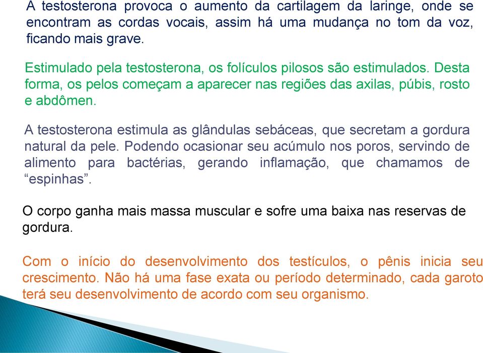 A testosterona estimula as glândulas sebáceas, que secretam a gordura natural da pele.