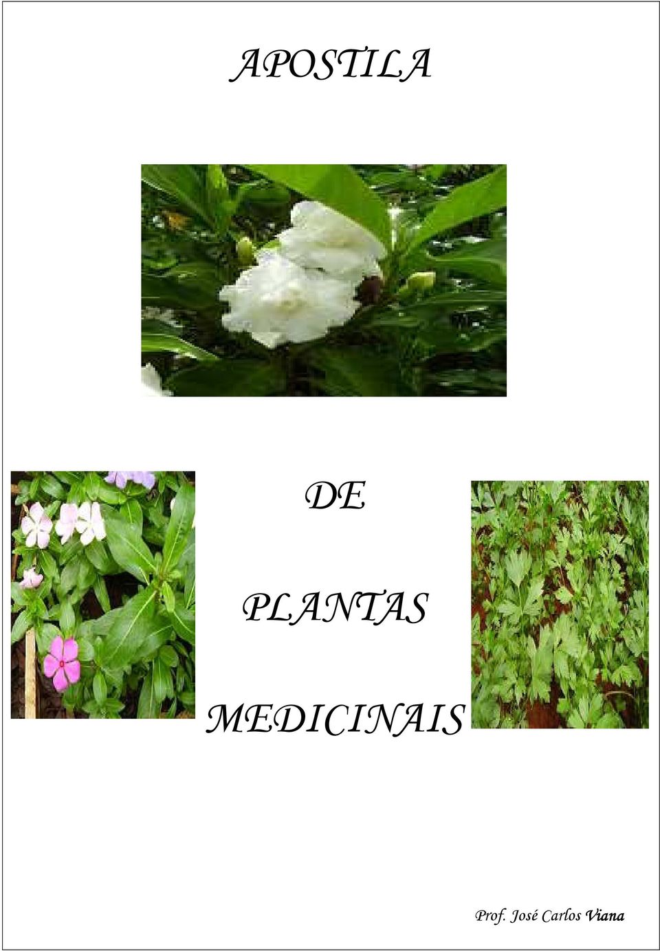 MEDICINAIS