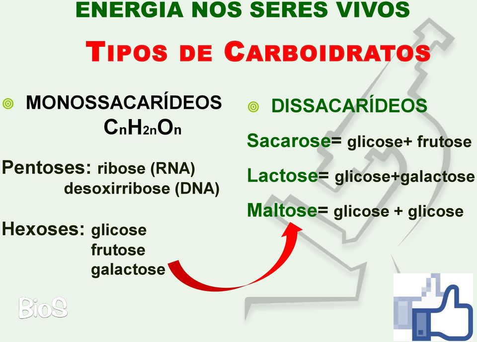 (DNA) Hexoses: glicose frutose galactose DISSACARÍDEOS