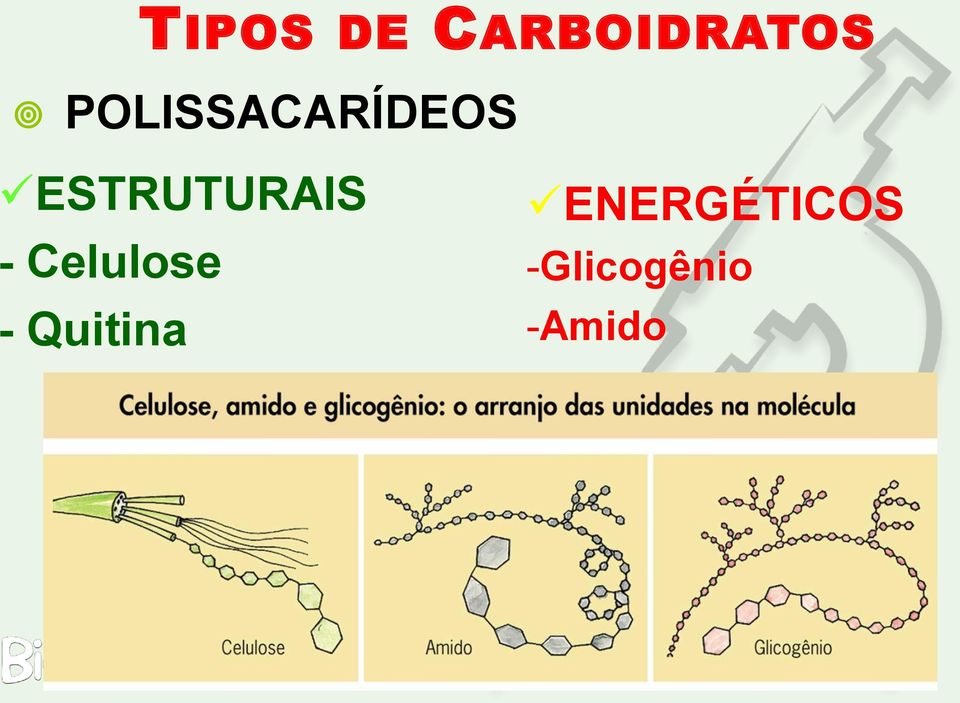 ESTRUTURAIS - Celulose -