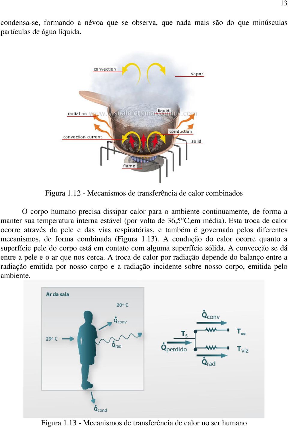 média). Esta troca de calor ocorre através da pele e das vias respiratórias, e também é governada pelos diferentes mecanismos, de forma combinada (Figura 1.13).