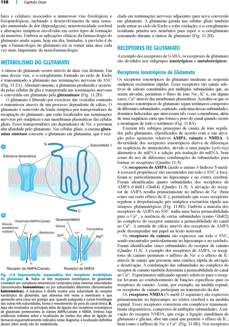 Embora as aplicações clínicas da farmacologia do glutamato ainda sejam, hoje em dia, limitadas, a previsão é de que a farmacologia do glutamato irá se tornar uma área cada vez mais importante da