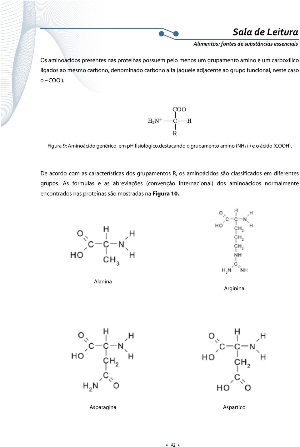 Figura 9: Aminoácido genérico, em ph fisiológico,destacando o grupamento amino (NH3+) e o ácido (COOH).