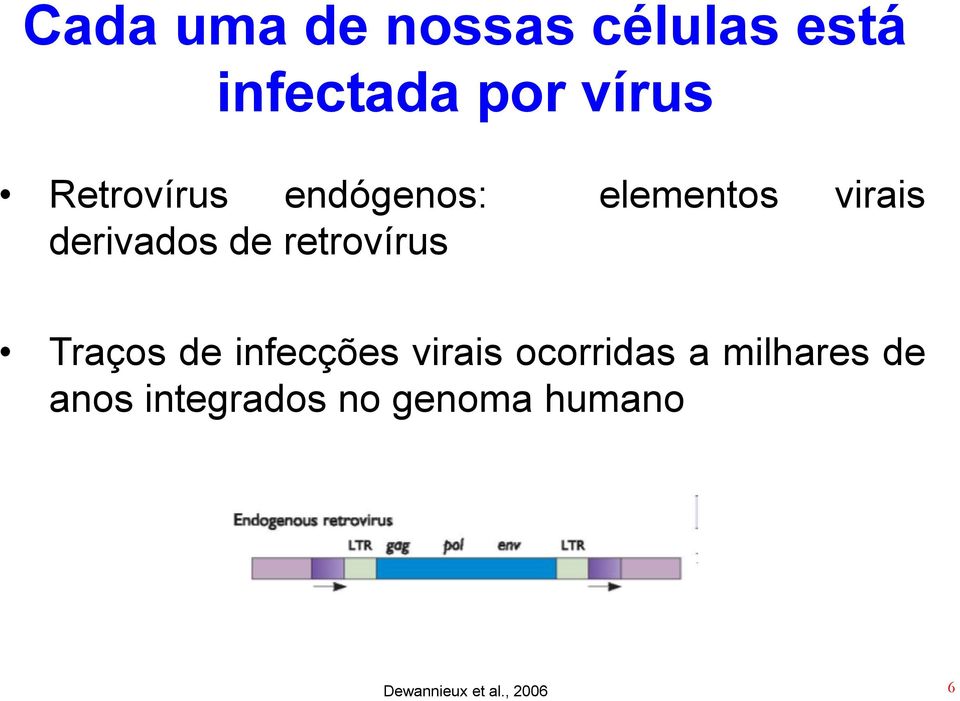 retrovírus Traços de infecções virais ocorridas a