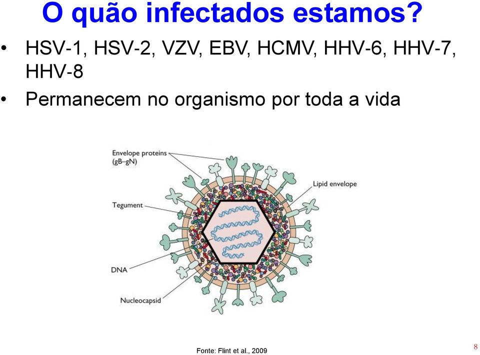 6, HHV 7, HHV 8 Permanecem no